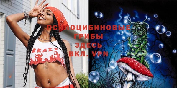 spice Нязепетровск