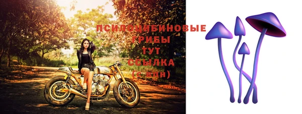 круглые Нягань